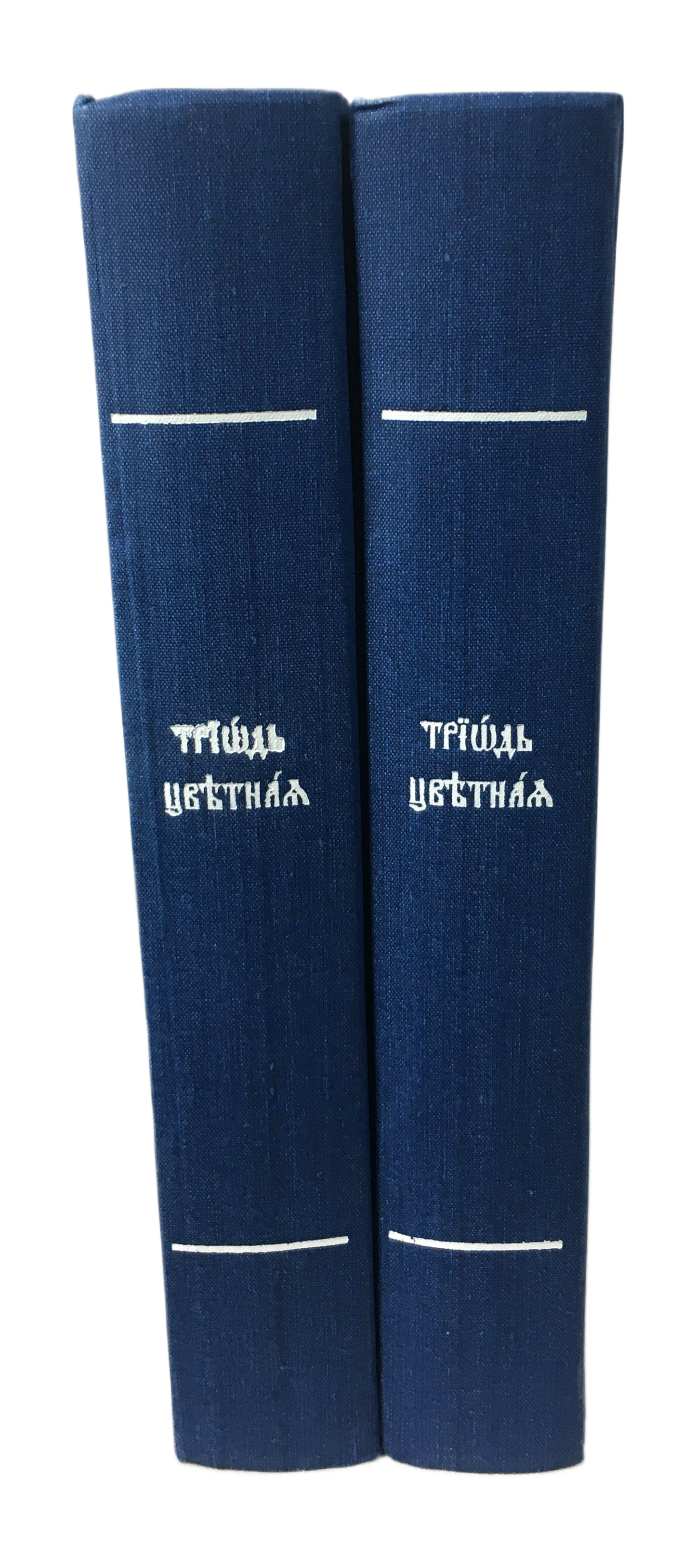 Триодь цветная (МП)