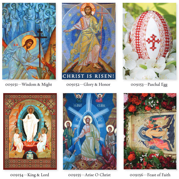Mixed Pack of 12 Pascha cards