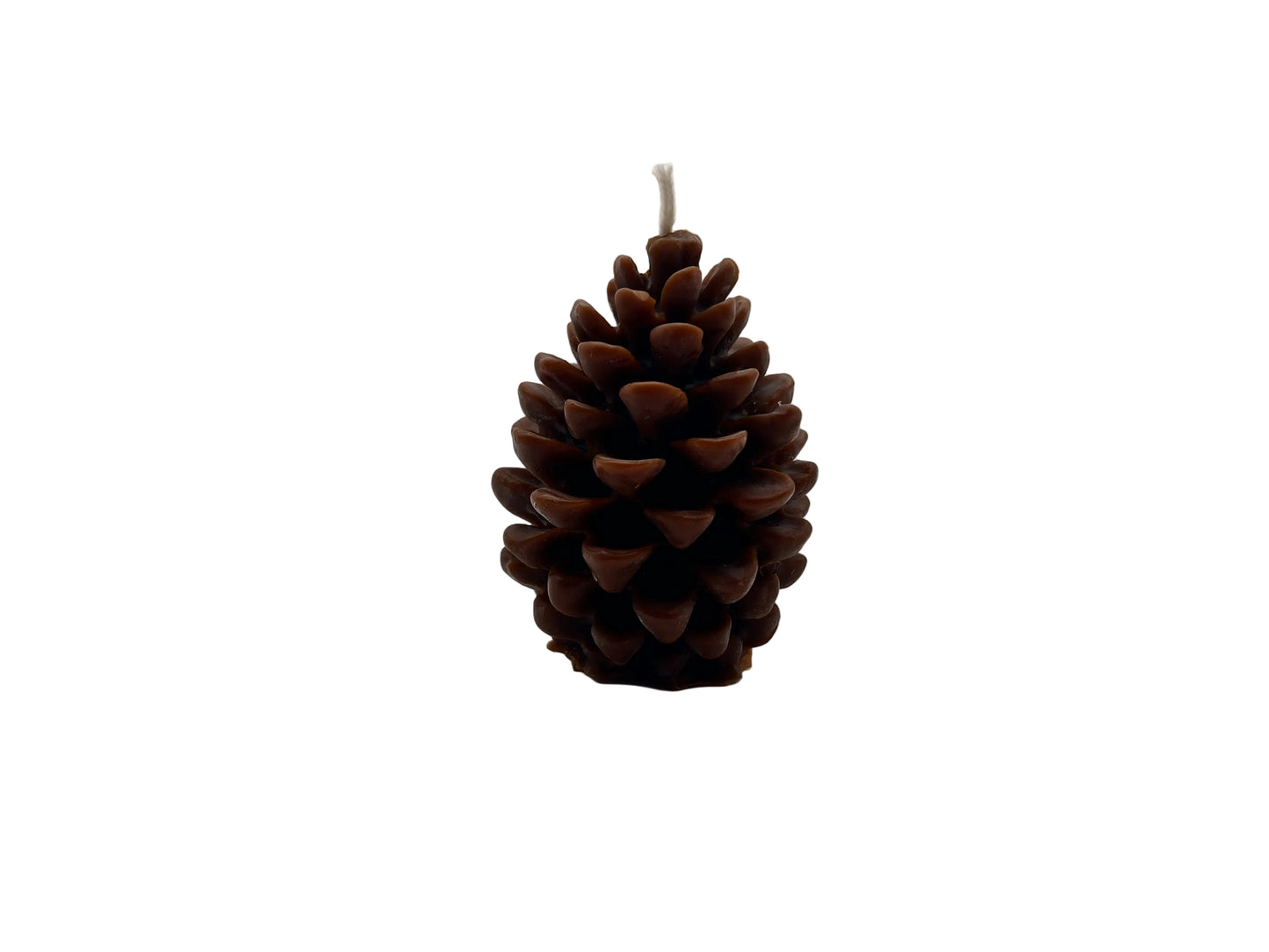 Medium Pinecone Candle Brown