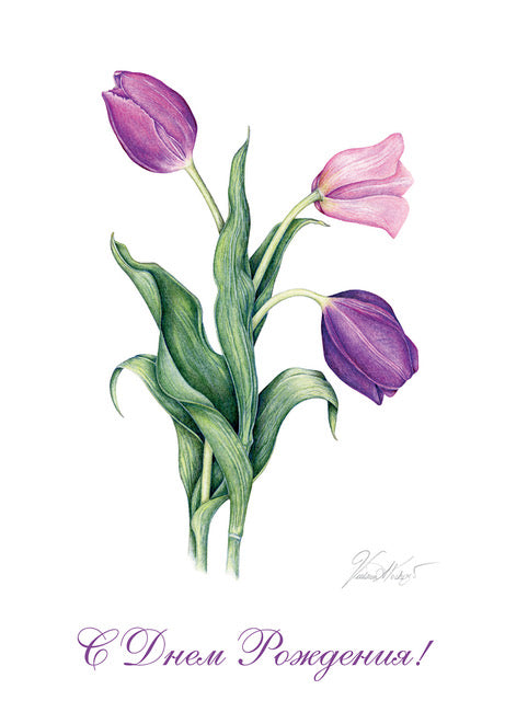 С Днем Рождения - Tulips card
